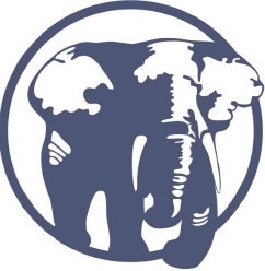 Optimum Insure Consulting